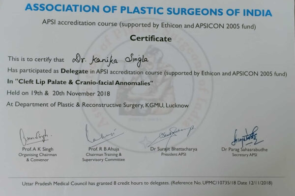 Best Cosmetic and Plastic Surgeon in Meerut